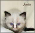 /album/amira/amira-6-hetes-0065-jpg/